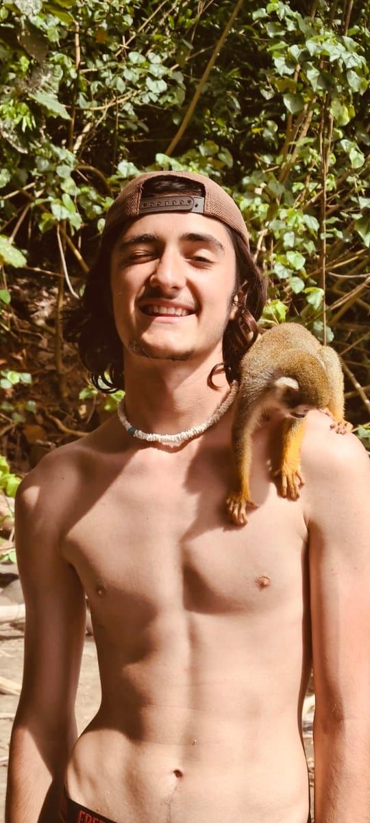 Profil de Fayel